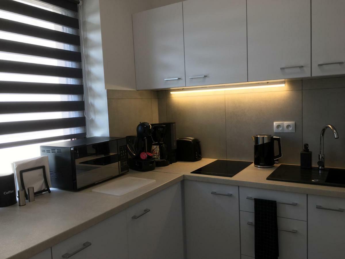 Studio Fibra Lungo Rybnik  Kültér fotó