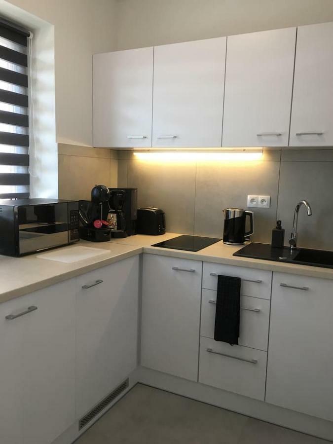 Studio Fibra Lungo Rybnik  Kültér fotó